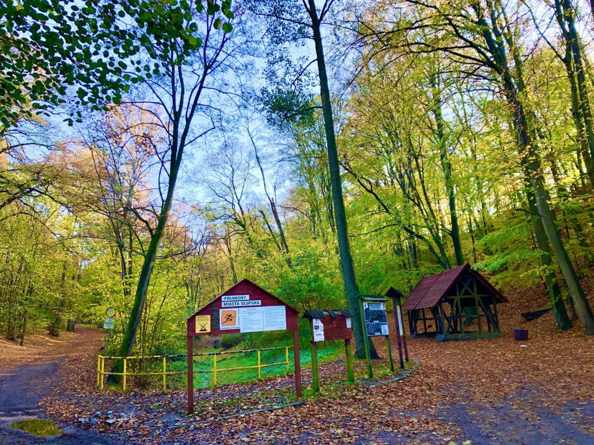 Las Slupski Premium Business Apartament Nr 7 Wifi Netflix Smart Tv50 Two Bedrooms Two Extra Large Double Beds Up To 6 People Full Pleasure Quality Stay (Adults Only) Słupsk Exterior foto